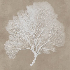 Ashley Express - Hendridge Wall Art Set (3/CN)