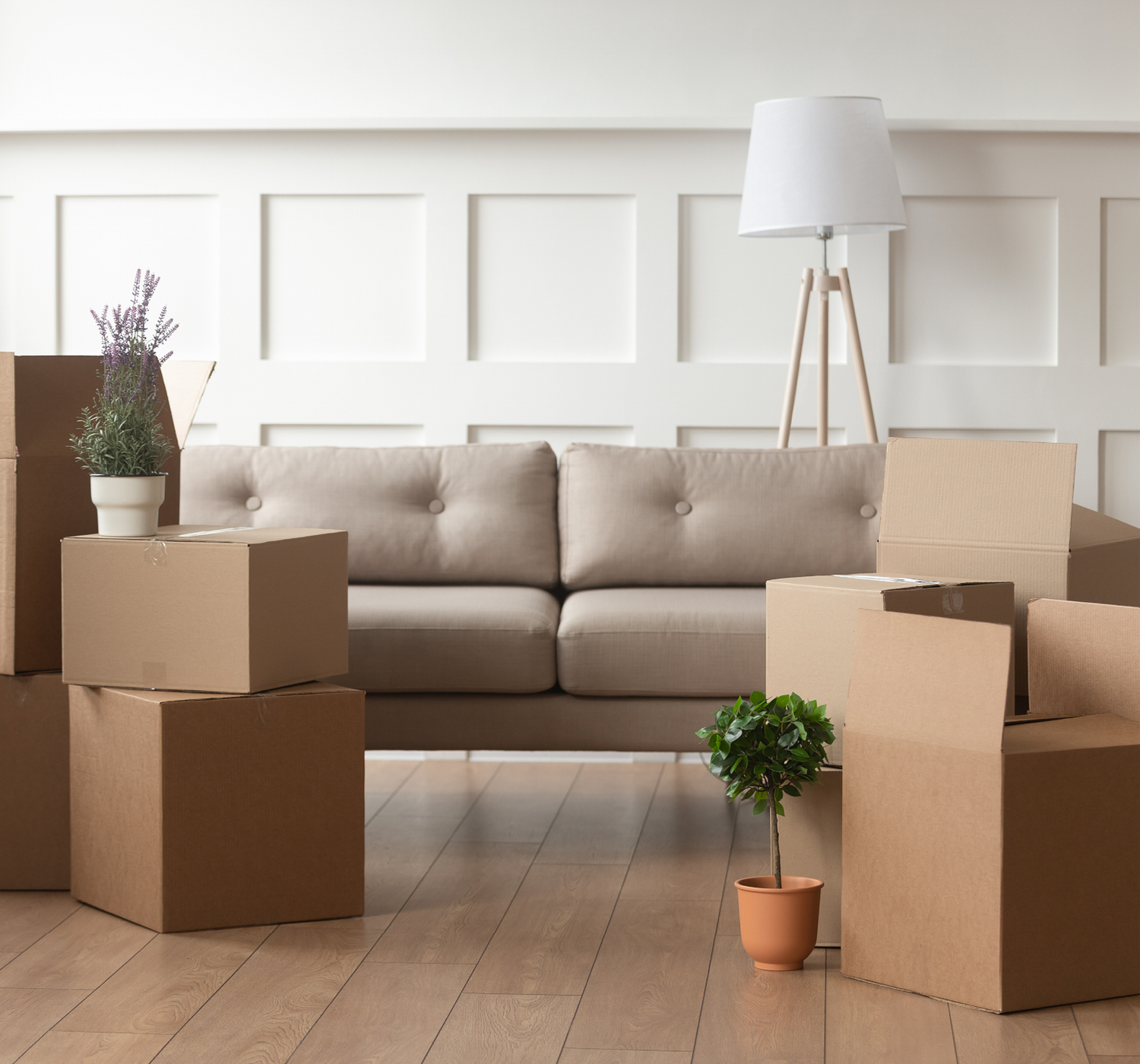 Furniture Haul-Away Service