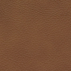 Magic Man 5-Piece Power Reclining Sectional